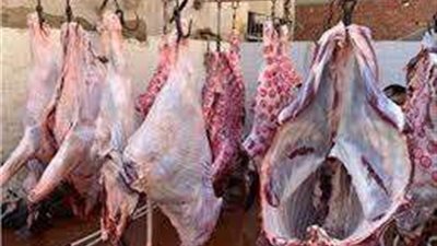 ضبط 264 كيلو لحوم منتهية الصلاحية في حملة بيطرية بالغربية