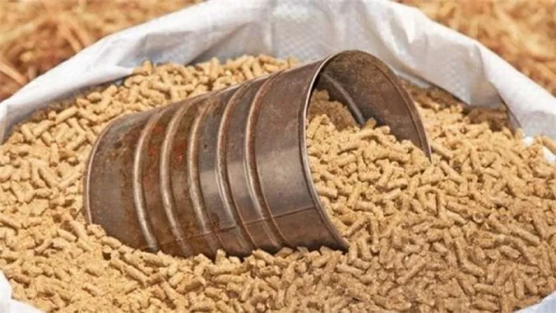 نقيب الفلاحين: أسعار الأعلاف في الأسواق تتراجع  وتصل  إلى 600 جنيه