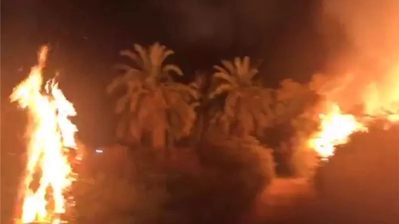 السيطرة على حريق مزرعة نخيل بالواحات البحرية
