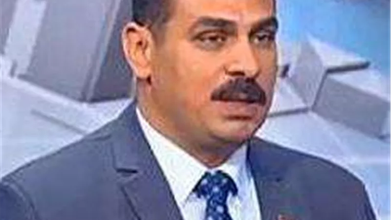 خاص| البهواشي:  مصر تنتقل من الاقتصاد العام إلى الاقتصاد الأخضر