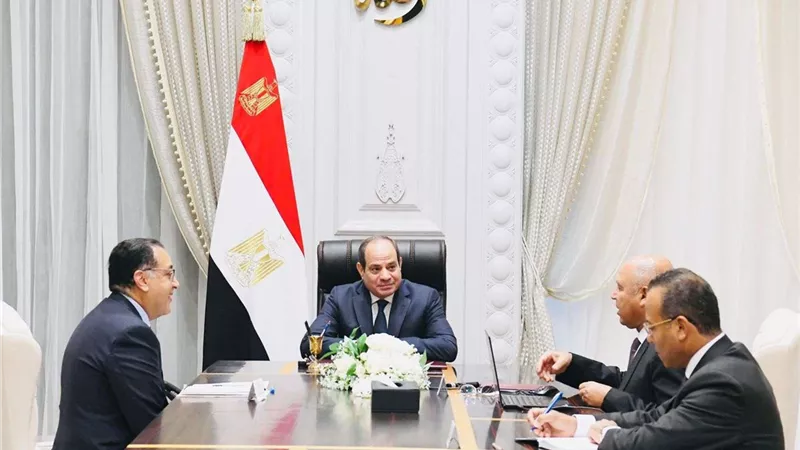 السيسي يجتمع برئيس مجلس الوزراء ووزيري الكهرباء والبترول