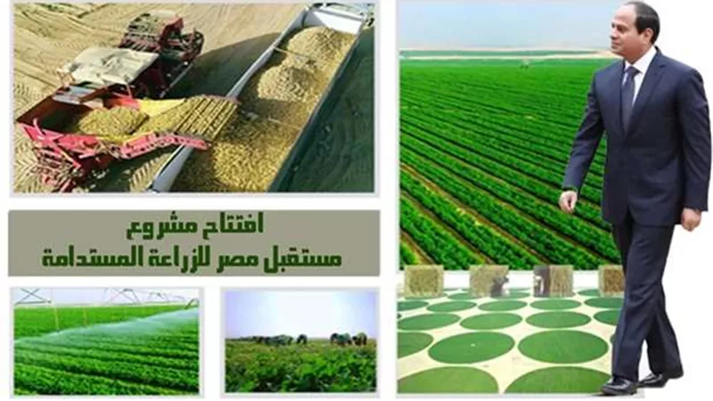بعد توجيهات الرئيس بمواصلة جهود الاستفادة من مشروع 