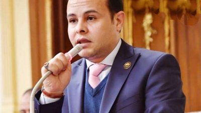 برلماني: توطين الصناعة المحلية فرصة جيدة للقضاء على البطالة
