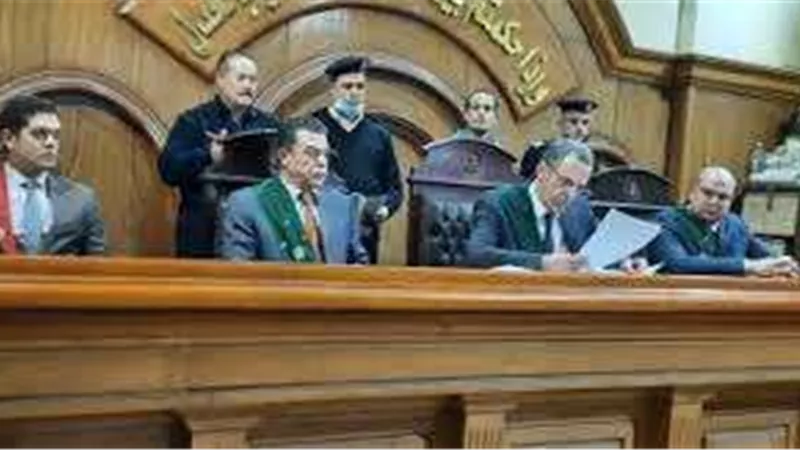 المشدد 7 سنوات للمتهم بقتل زوجته ببلطة في الجيزة