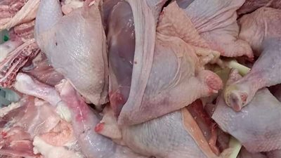 ضبط 3 طن أسماك غير صالحة للاستهلاك الآدمي بالقليوبية