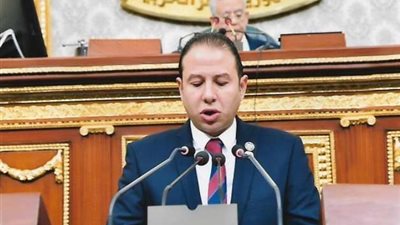 برلماني: اجتماع مجلس أمناء الحوار الوطني لصياغة توصيات اللجان شهادة قاطعة على مصداقيته