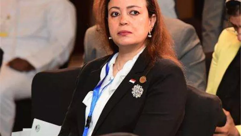النائبة سماء سليمان: القضية الفلسطينية الأولى عربيا وقمة العلمين تؤكد موقف مصر الثابت لدعمها