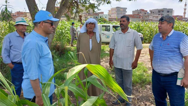الزراعة تتابع حقول إكثار التقاوي والبرامج البحثية للأرز والذرة الشامية