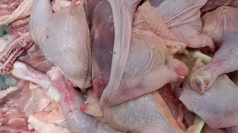 ضبط 3 طن أسماك غير صالحة للاستهلاك الآدمي بالقليوبية