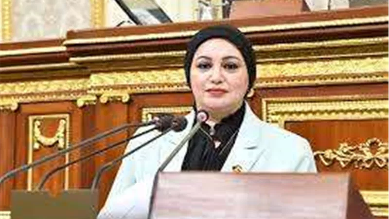 برلمانية: مجلس الأمن مطالب بتنفيذ جميع البنود الواردة فى البيان الختامى لقمة العلمين