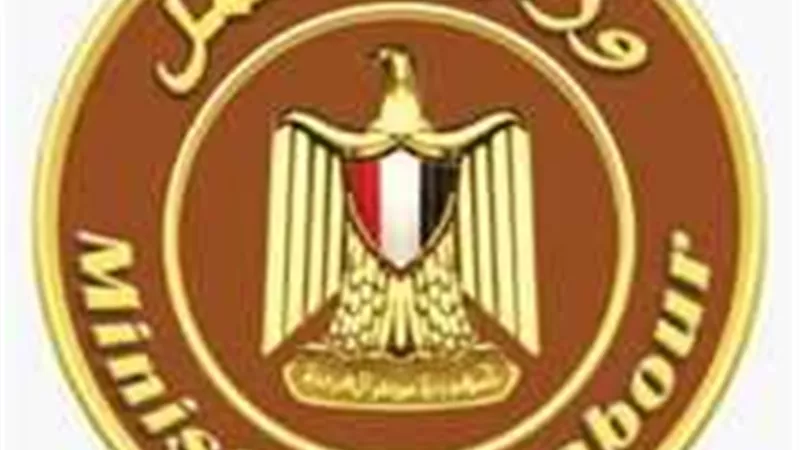 تعيين 9 من ذوي الهمم في إحدى المنشآت السياحية بشرم الشيخ