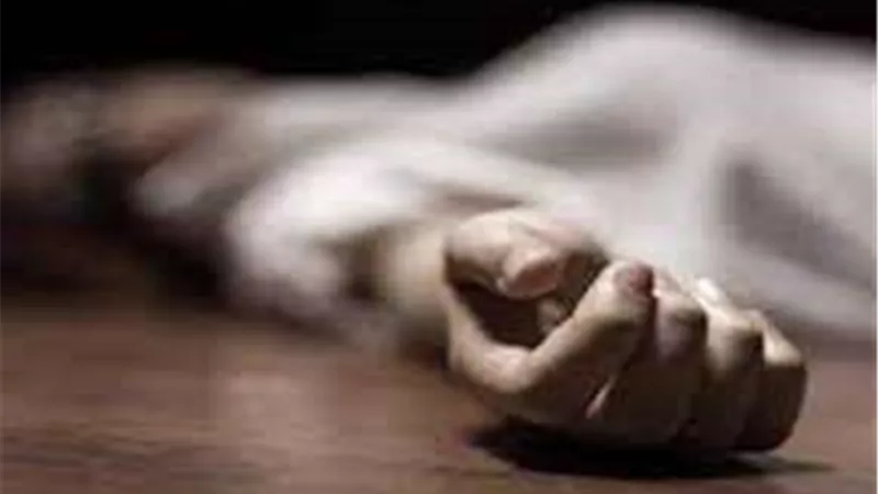 مقتل شخص على يد نجل شقيقه بآله حادة في الدقهلية