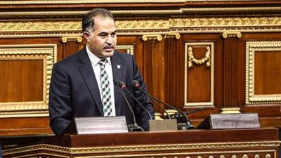 برلماني: قرار الرئيس بإحالة مخرجات الحوار الوطني يؤكد جدية التعامل والتنفيذ