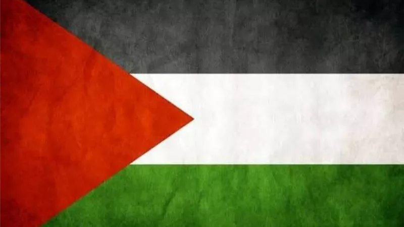 محمد إمام يعلن تضامنه مع فلسطين لمساندة أهالي 