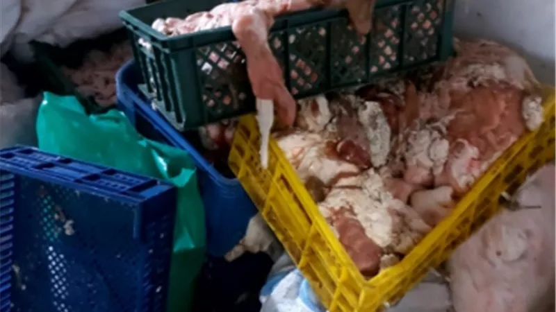 ضبط 290 كيلو لحوم فاسدة خلال حملات تموينيه بالمنوفية