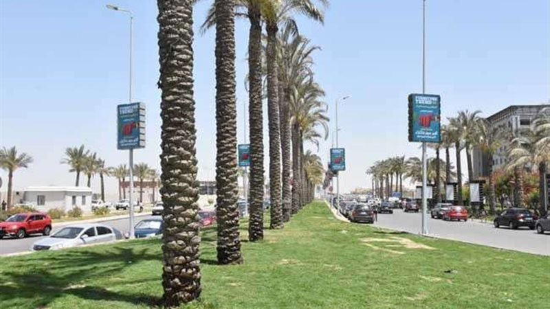 جهاز القاهرة الجديدة