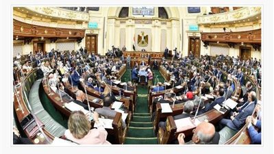 سب وتشهير.. برلماني يحذر هؤلاء الأشخاص