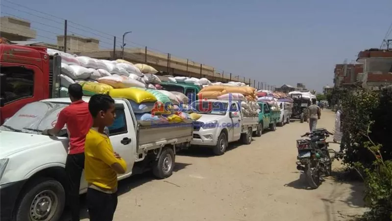 محافظ البحيرة: توريد ١٥٩٣٣٠.٥٩٢ طن قمح للصوامع والشون