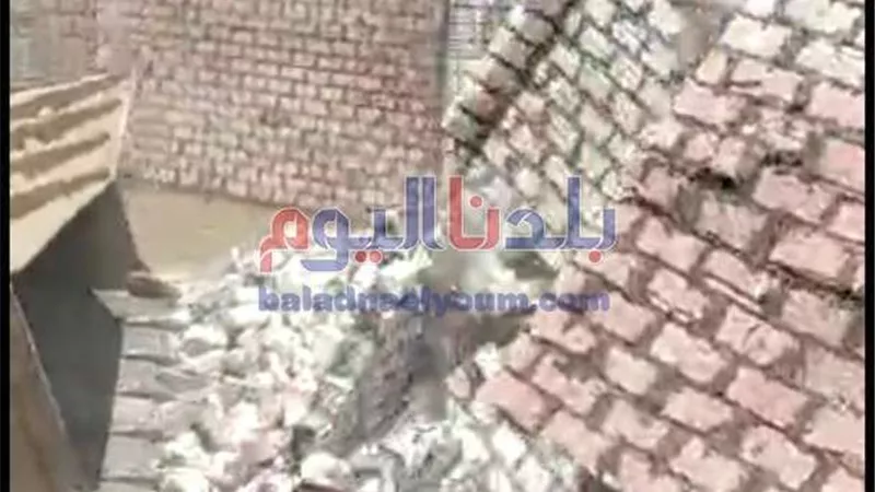إزالة 7 حالات تعدي على مساحة 4150 متر مربع بنطاق 4 مراكز بالبحيرة