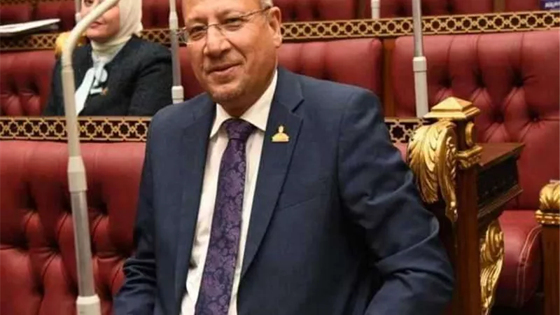 برلماني: ترشح السيسي للانتخابات الرئاسية المقبلة يستهدف الحفاظ على مقدرات الوطن