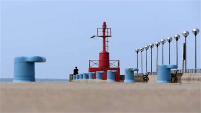فلسطين حاضرة.. عمال بإيطاليا يمتنعون عن تحميل شحنة أسلحة متجهة إلى إسرائيل