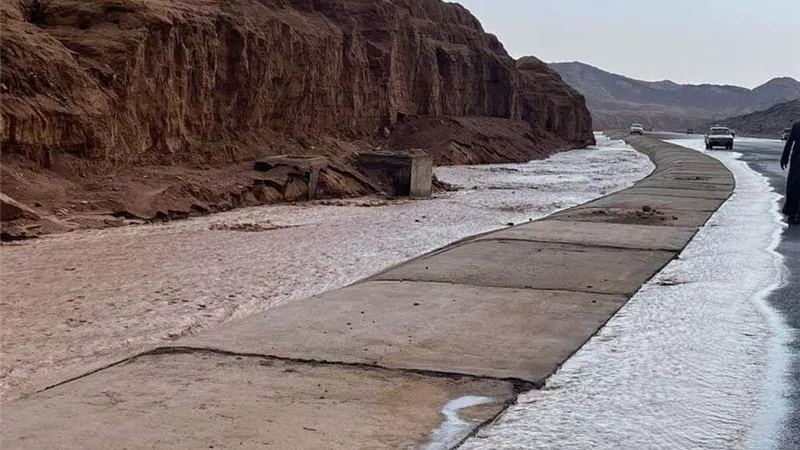 هل تأتي سيول سانت كاترين إلى القاهرة؟.. خبير يفجر مفاجأة
