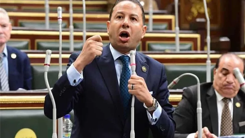 برلماني: توجيهات الرئيس تُبرز اهتمامه بتحويل مصر إلى مركزًا إقليميًا بالصناعات الثقيلة