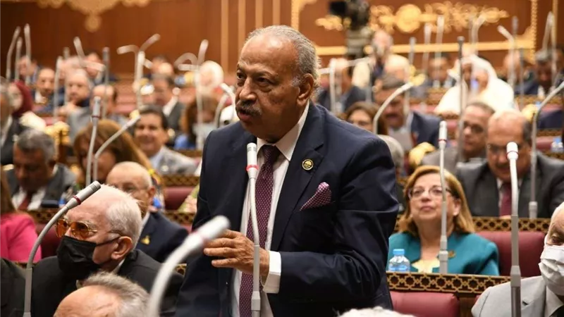 برلماني: قرارات الرئيس نقطة تحول في مسار تحفيز وتشجيع القطاع الصناعي