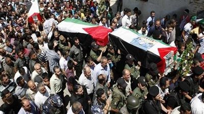 256 شهيدا و7892 جريحا حصيلة العدوان الإسرائيلي على غزة حتى الأن