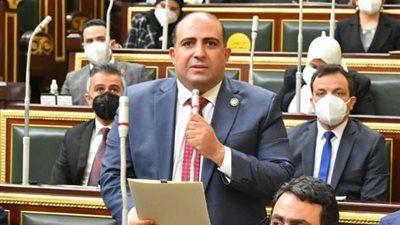 النائب محمد سليم: مصر أكثر دولة قادرة على إحداث الفرق في الأزمة السودانية