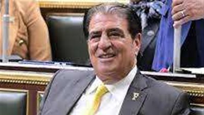 وكيل الشئون العربية بالنواب: مؤتمر جماهيري حاشد بالشرقية لدعم السيسي في الانتخابات