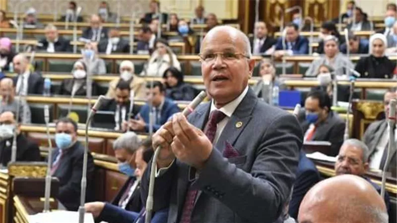 خاص| النائب سيد شمس يطالب بتعديل اشتراطات البناء الجديدة