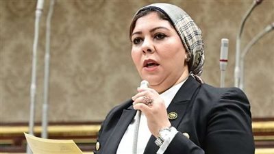 برلمانية: قرار الرئيس بدعم المشروعات الصناعية رسالة طمأنة للمستثمرين