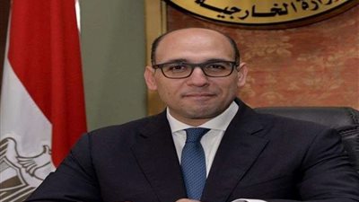 الخارجية: إطفاء الحرائق ليس حلا للقضية الفلسطينية