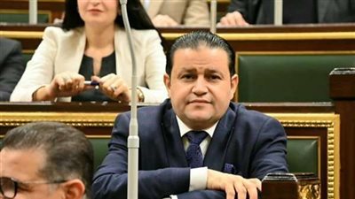 نائب «المجلس التصديري»: الصادرات الأفريقية متواضعه و تمثل 15%.. وبرلمانيون: مصر تمتلك صناعات غذائية كبيرة وموارد طبيعة