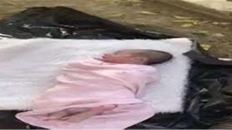 العثور على جثة طفلة متعفنة بطريق القاهرة أسيوط الغربي