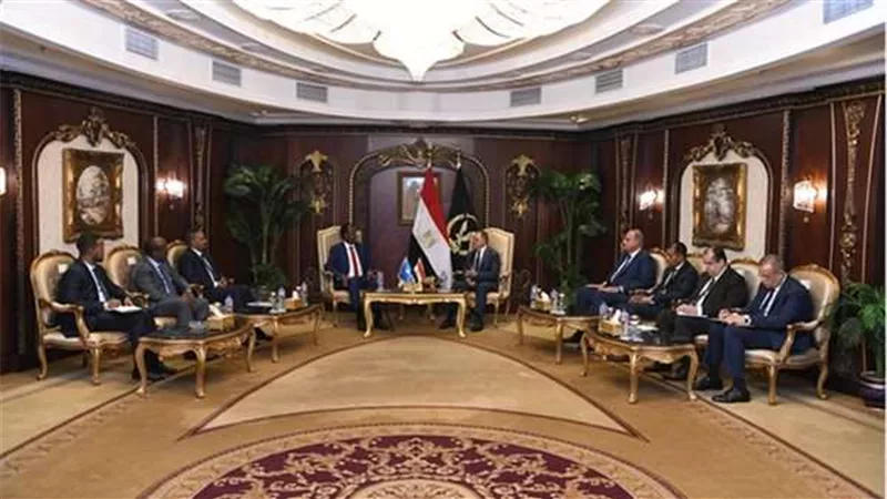 لبحث أوجه التعاون المشترك.. وزير الداخلية يلتقي نظيره الصومالي