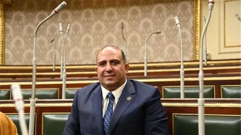 برلماني: المؤتمر العالمي للسكان فرصة لترى وفود العالم ما حققته مصر من إنجازات