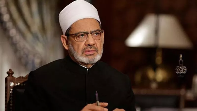تفاصيل لقاء شيخ الأزهر مع سفراء مصر الجدد