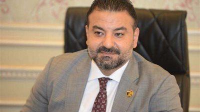 برلماني: الاستراتيجية الوطنية تستهدف تحقيق التوازن بين السكان والتنمية