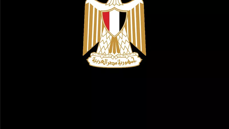 التضامن الاجتماعي تكشف النقاب عن برنامج تنمية الطفولة المبكرة