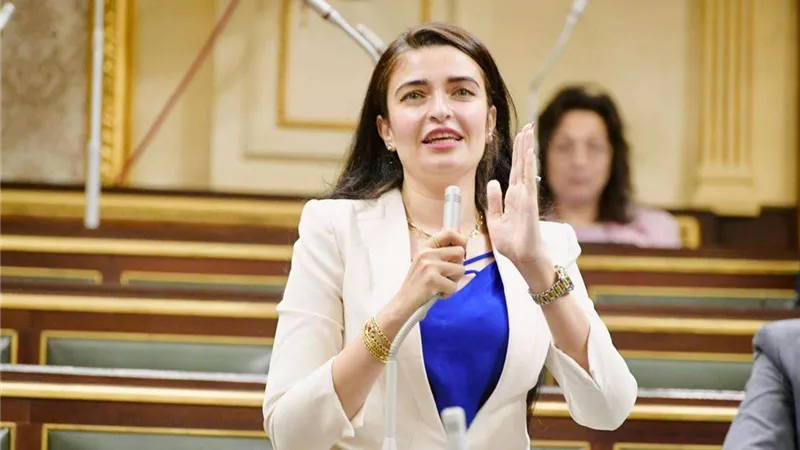 خاص| النائبة إيرين سعيد: مؤتمر السكان خطوة جادة لتنمية الخصائص السكانية