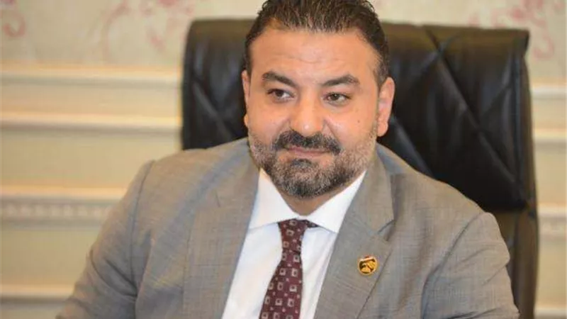 برلماني: الاستراتيجية الوطنية تستهدف تحقيق التوازن بين السكان والتنمية