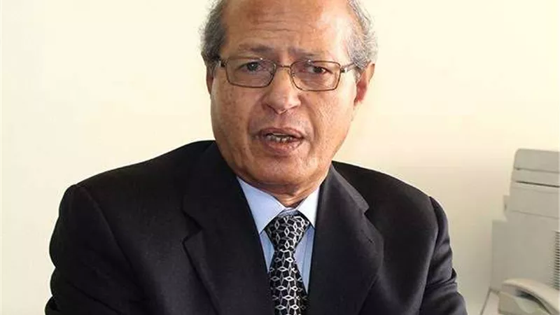 خاص.. مساعد وزير الخارجية السابق: قرار توفيق أوضاع الأجانب لا يؤثر على العلاقات الدبلوماسية لمصر