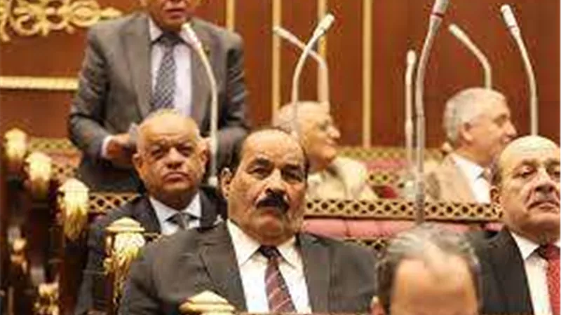 برلماني يطالب المجتمع الدولي بدعم الدول التى تعانى من مشكلات في قطاعي الصحة والسكان