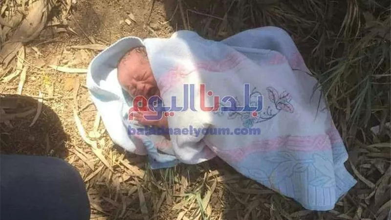 العثور على طفل حديث الولادة في قرية بالمحلة.. صور