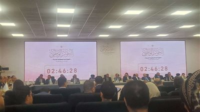 أمل فكري: التمكين السياسى للشباب هو المحور الأهم لبناء المجتمع