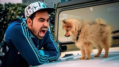 بالفيديو| اعتقال يوتيوبر شهير تسبب في موت كلبه