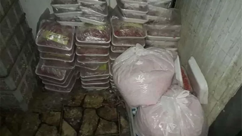 الجيزة تضبط 30 طن لحوم وأسماك ودواجن غير صالحة