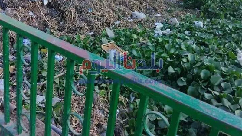 انتشار القمامة بالكوبرى العائم شكوى أهالي عزبة حمد بالمحلة (صور)